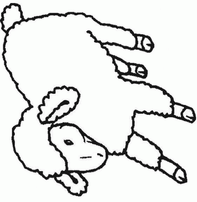 coloriage à dessiner mouton gratuit