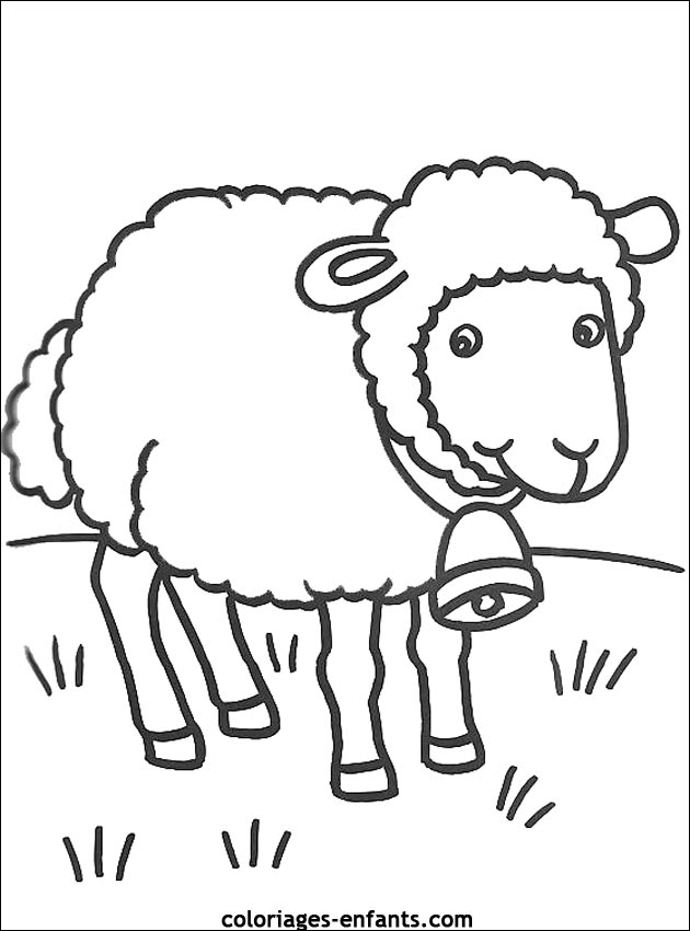coloriage mouton rigolo