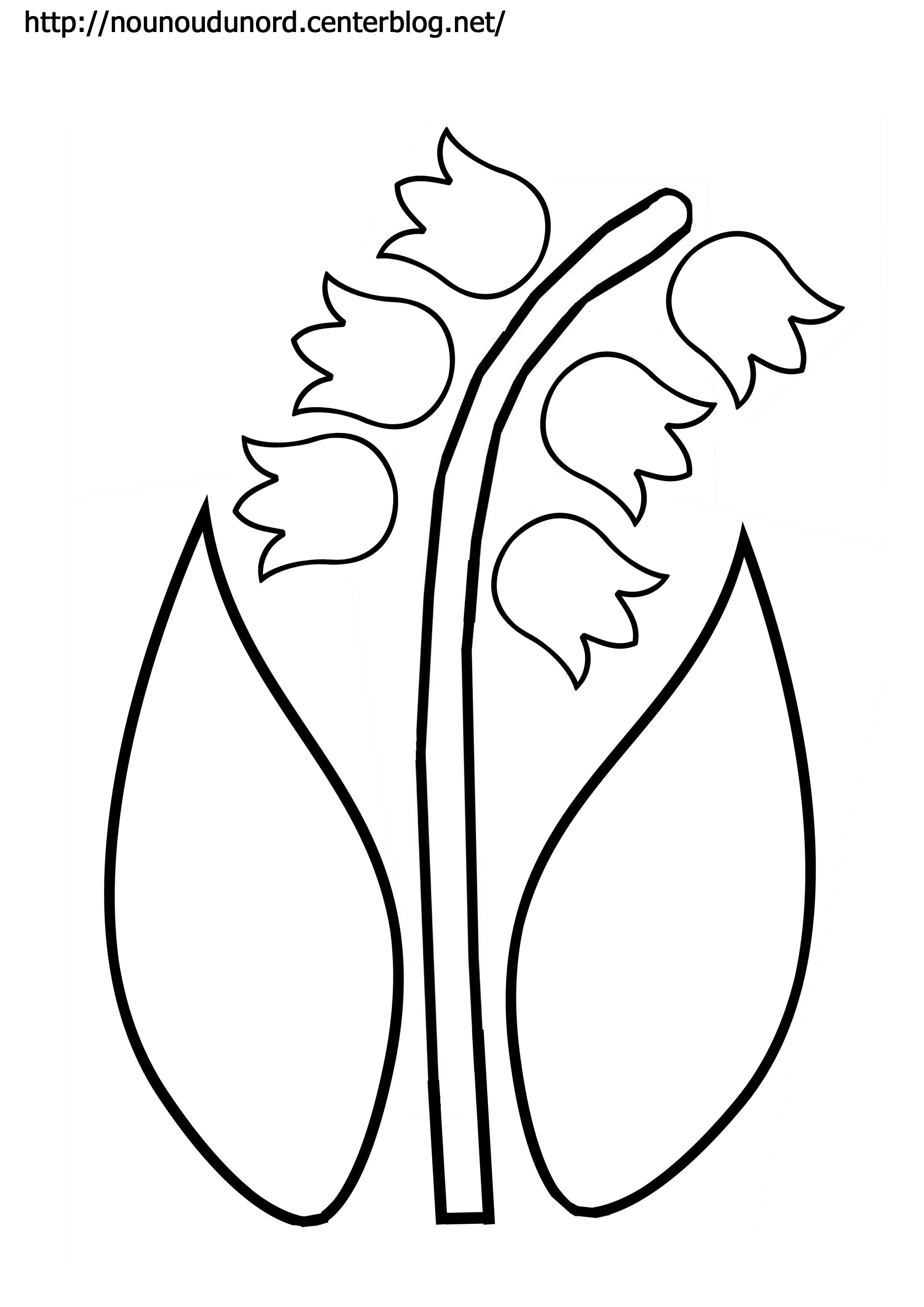 coloriage le muguet