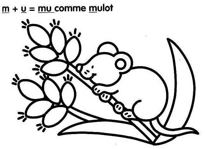 coloriage  dessiner le mulot