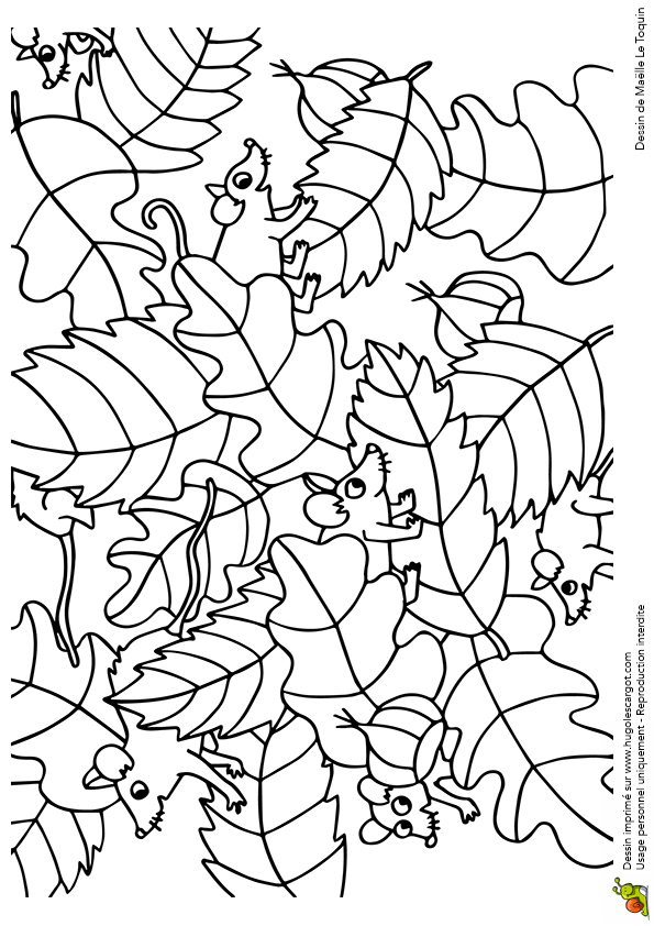 coloriage à dessiner d'un mulot