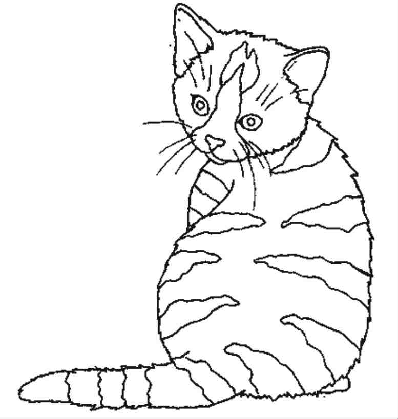 19 dessins de coloriage Nature Et Animaux à imprimer
