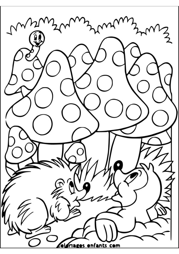 livre coloriage nature et decouverte