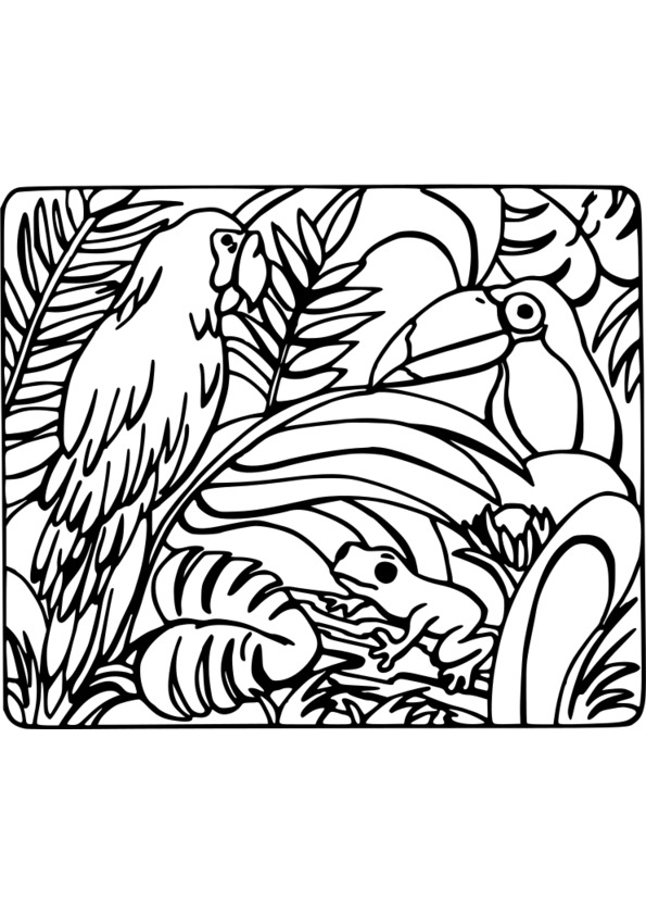 coloriage nature adulte