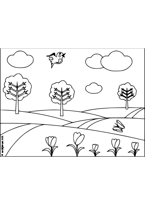 coloriage nature imprimer gratuit