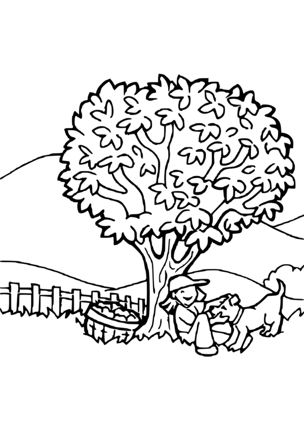 TONK NAWAB [Download 37+] Coloriage Magique Nature De Mots