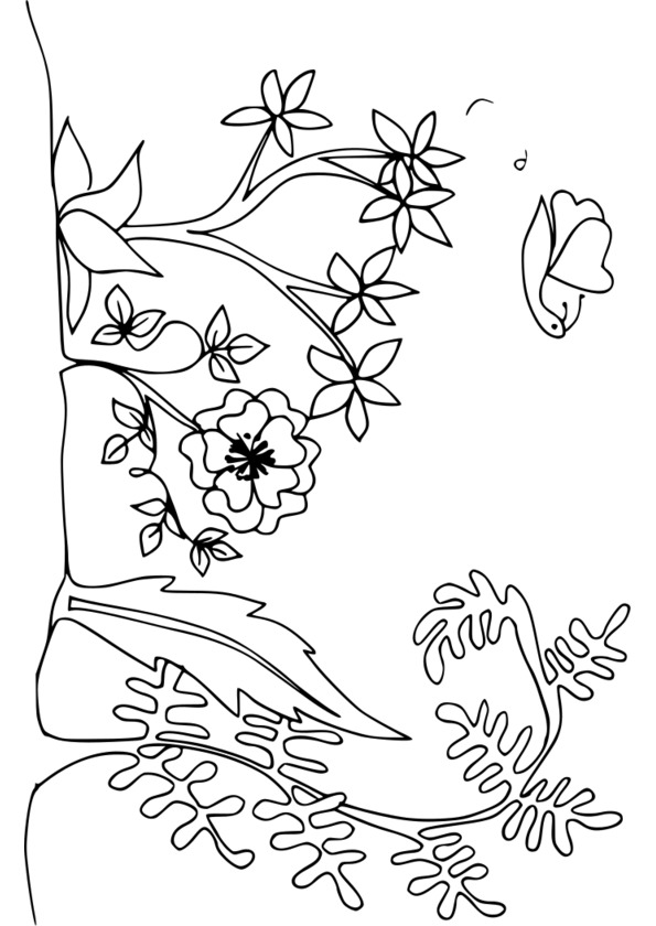 TONK NAWAB [Download 37+] Coloriage Magique Nature De Mots