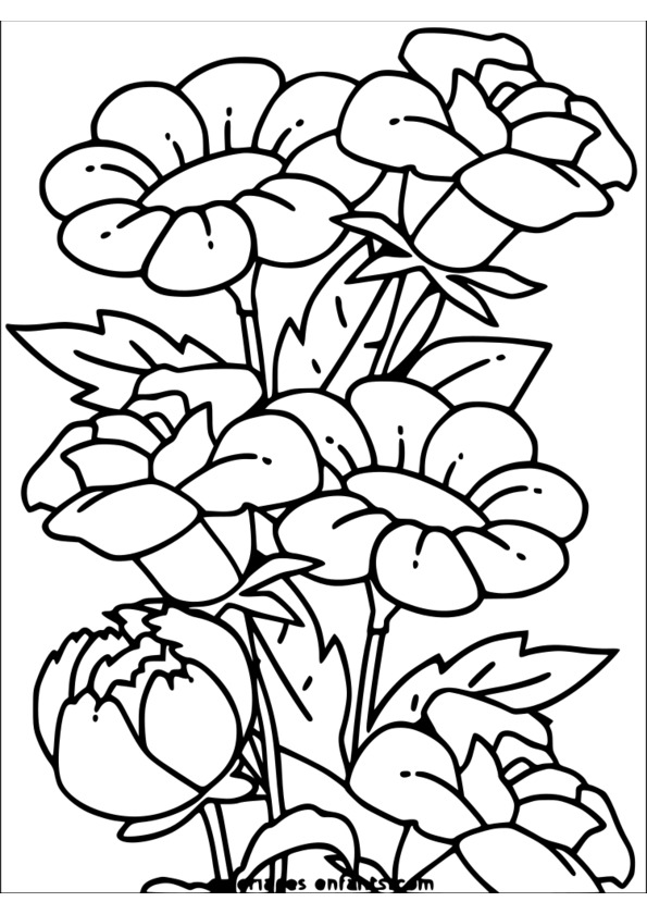 coloriage gratuit sur la nature