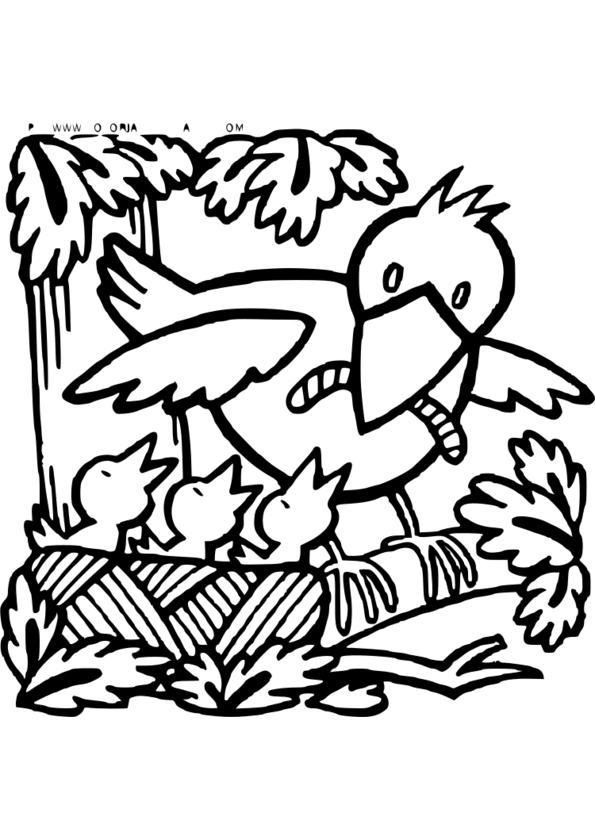 dessin de nature morte
