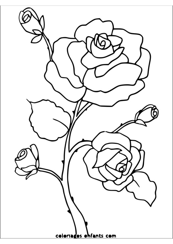 coloriage nature gratuit