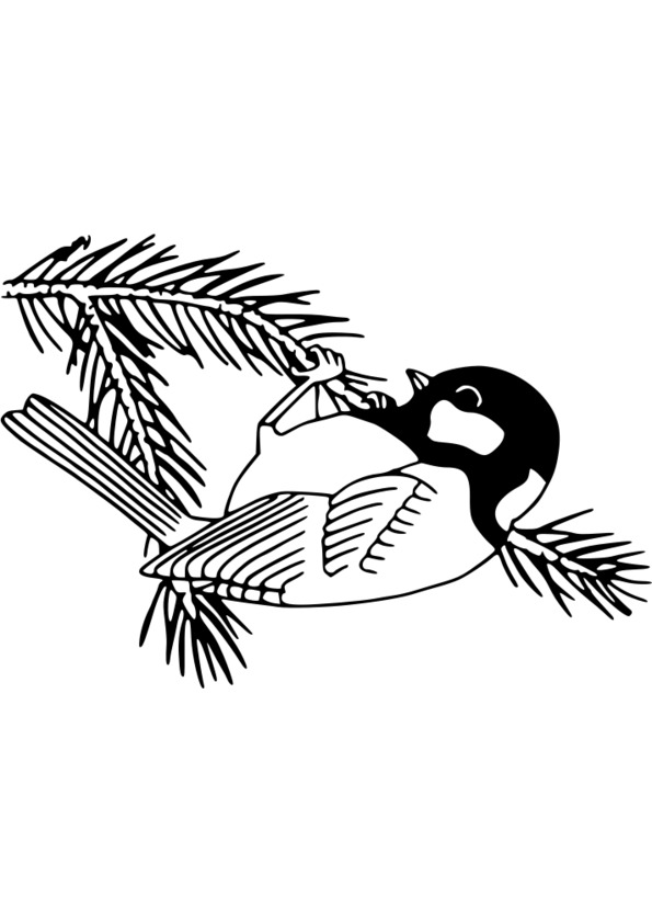 131 dessins de coloriage Nature à imprimer