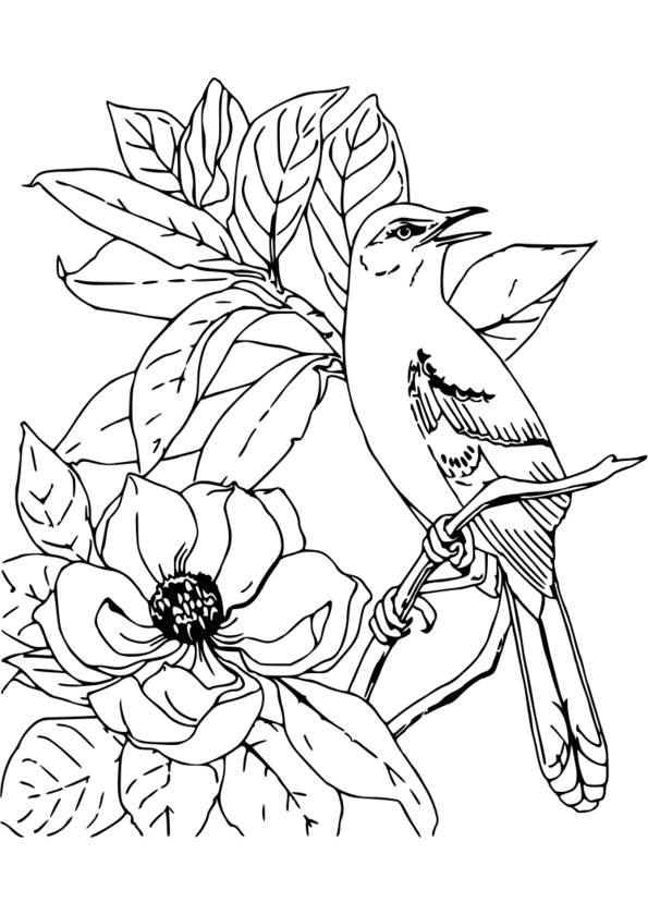 131 dessins de coloriage Nature à imprimer