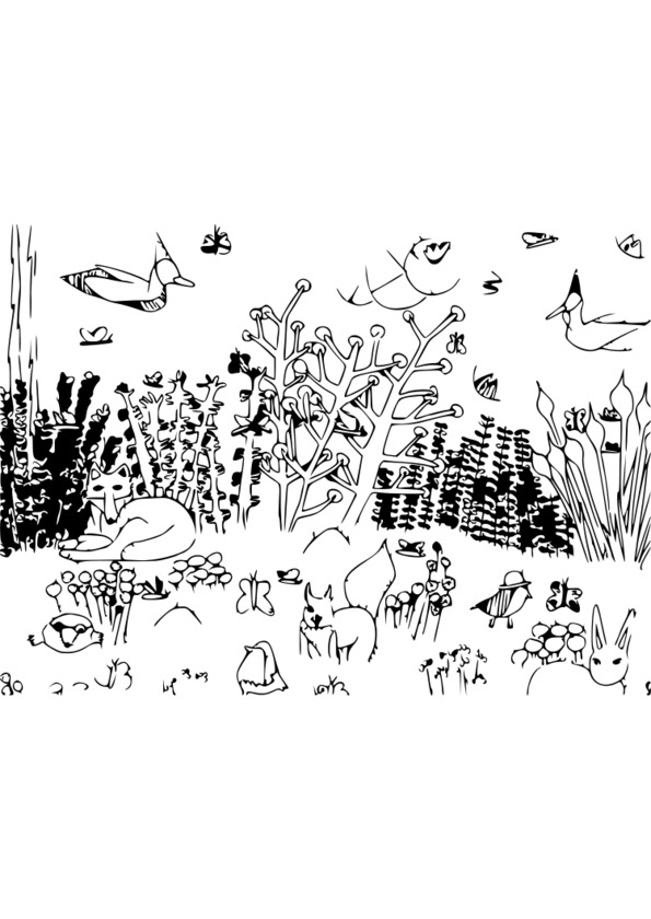 coloriage anti stress nature