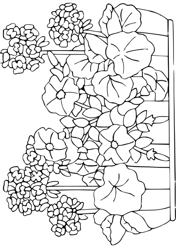 coloriage naturel des cheveux