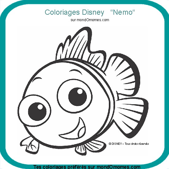 dessin tortue nemo