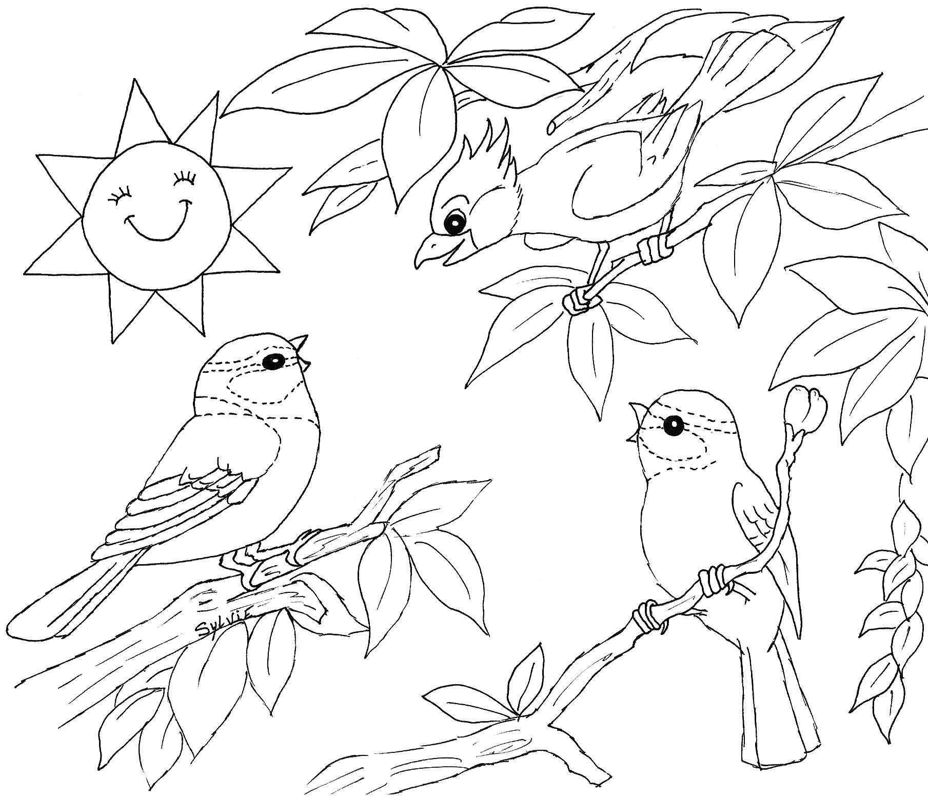 coloriage oiseau a imprimer gratuit