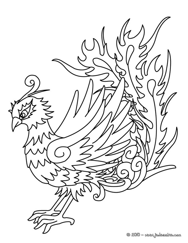 coloriage oiseau de feu