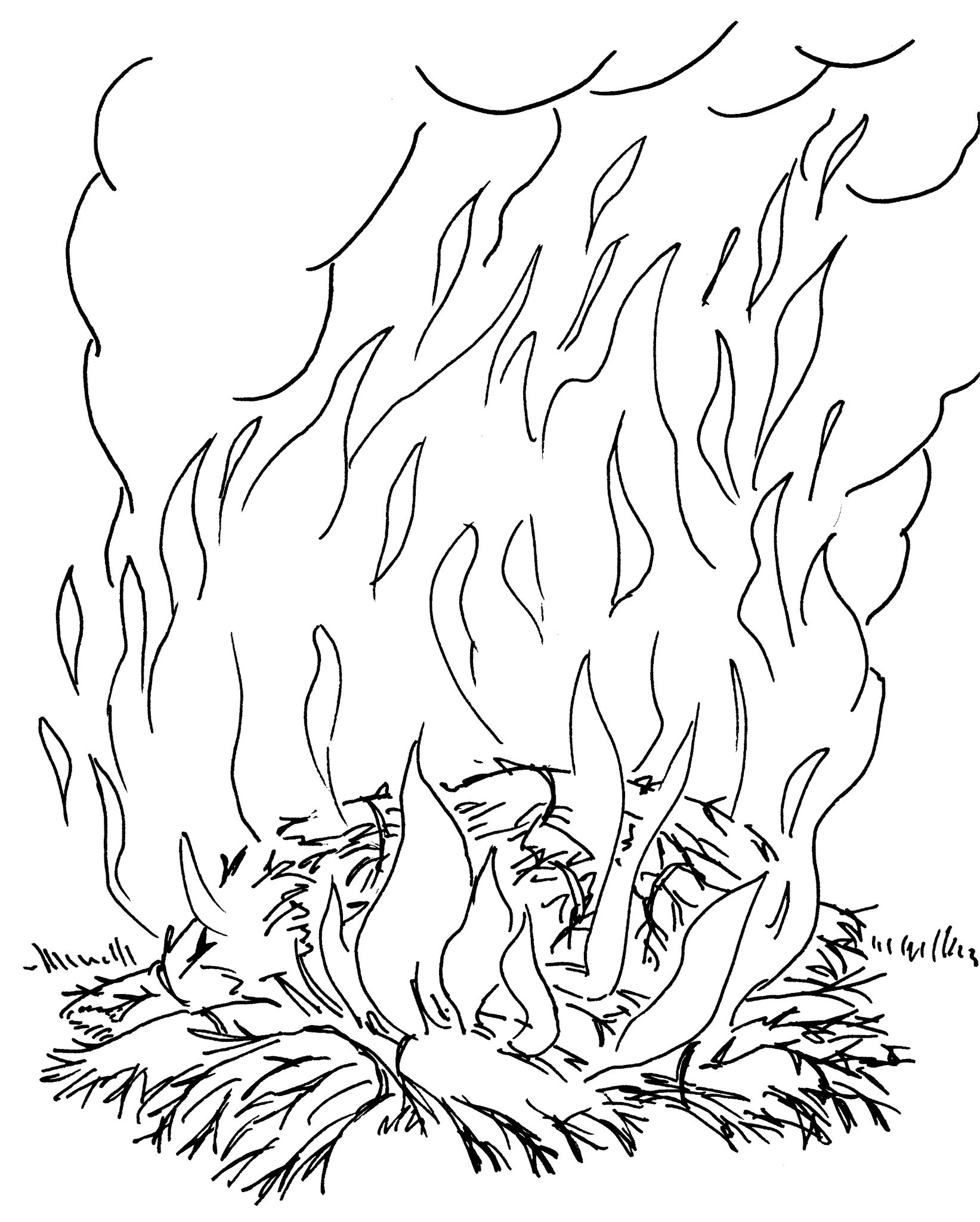 coloriage oiseau de feu