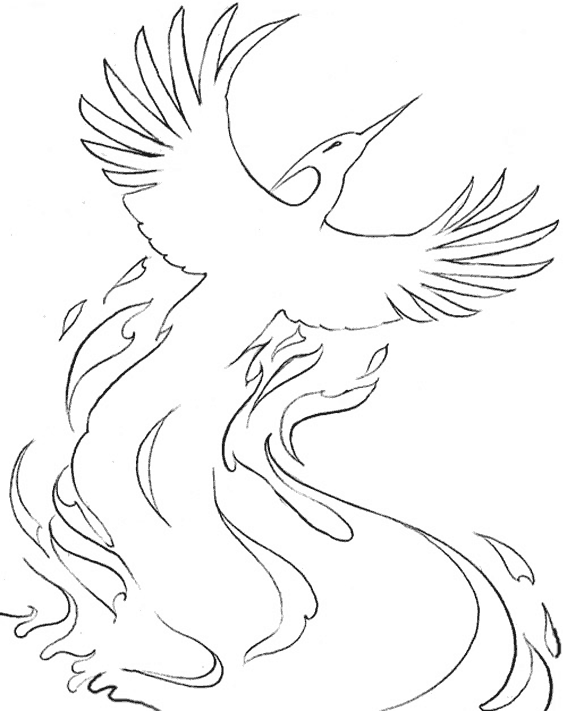 Dessin Oiseau Du Paradis / Oiseau Du Paradis Et Des Fleurs Exotiques