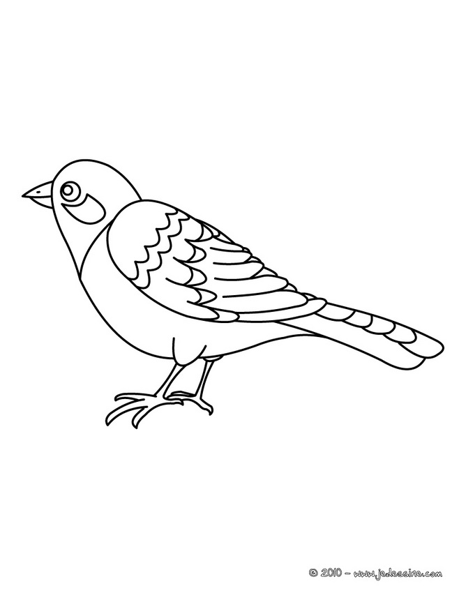 coloriage oiseau en ligne