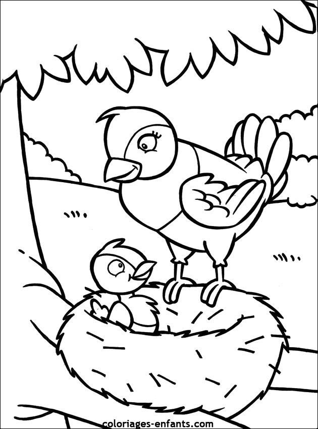 dessin à colorier oiseau magritte