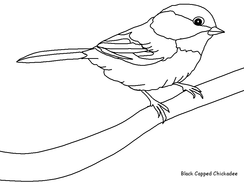 coloriage d'oiseau sur un arbre