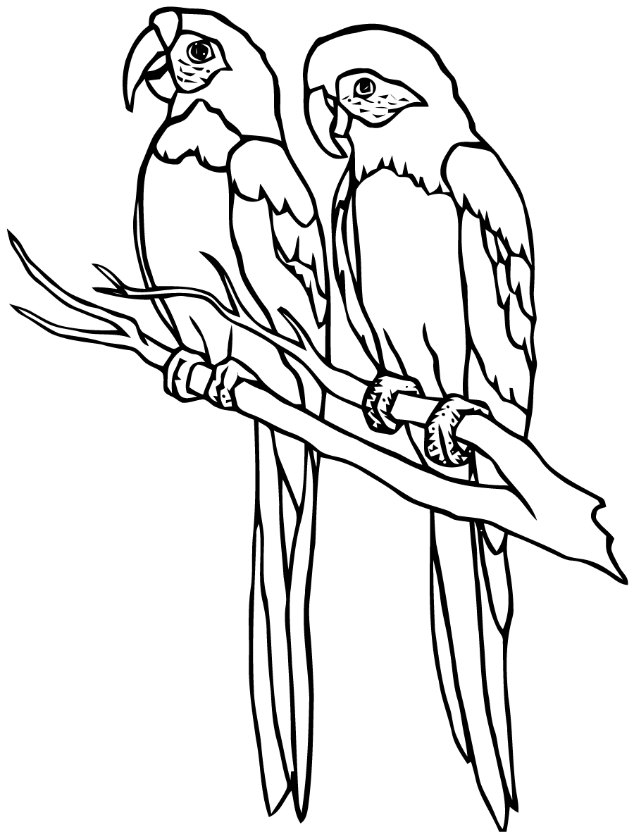 Dessin à Colorier Oiseau Gratuit