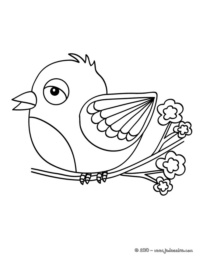 dessin oiseau de braque