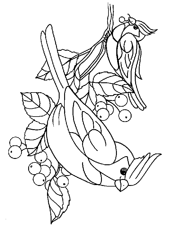 Hugo Lescargot Dessin à Colorier Oiseau