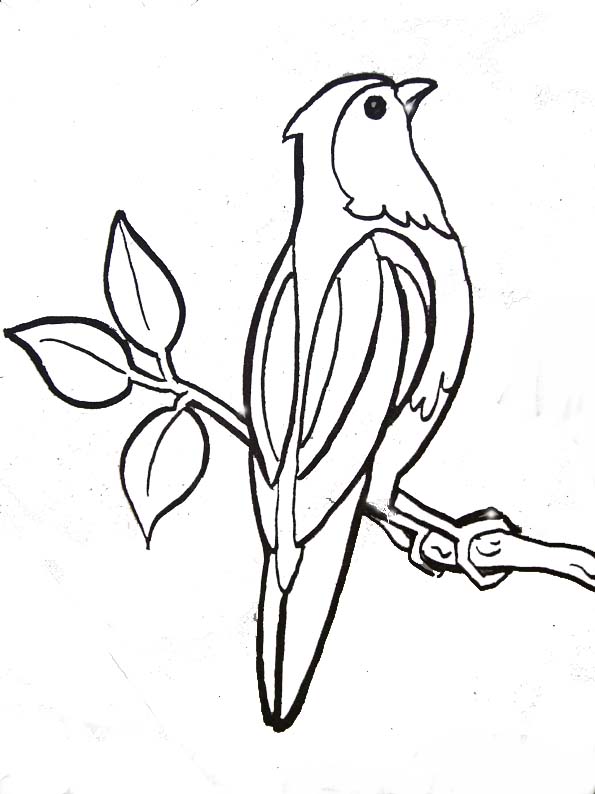 dessin à colorier oiseau facile