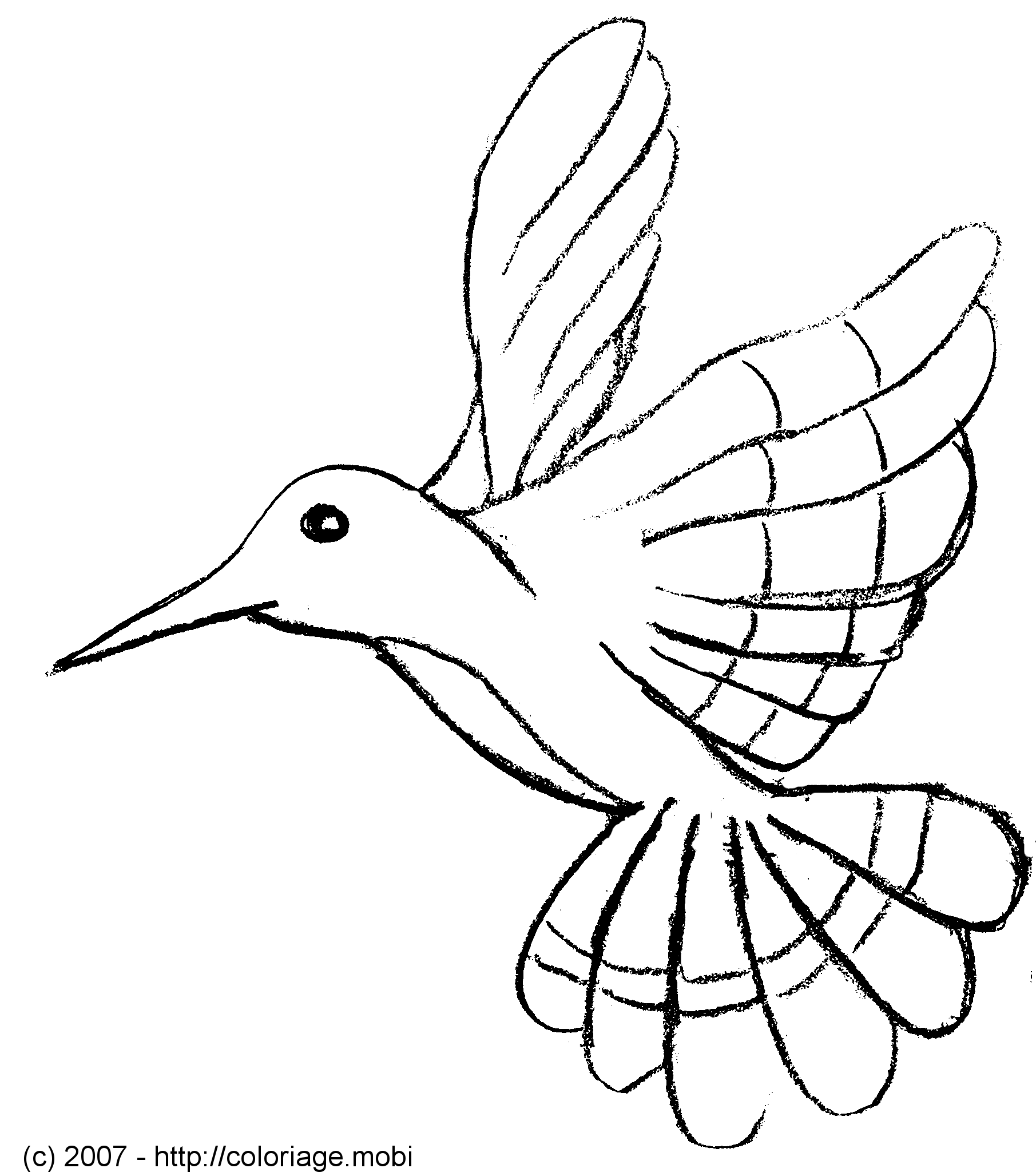 dessin oiseau en ligne