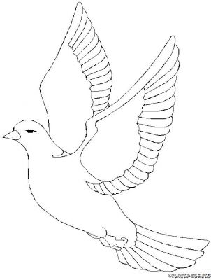 coloriage à dessiner d'oiseaux à imprimer