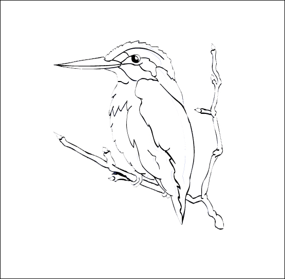 118 Dessins De Coloriage Oiseau à Imprimer