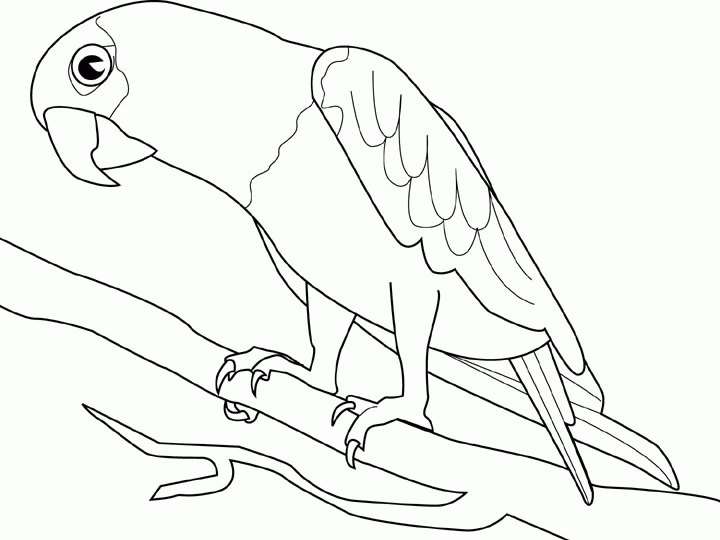 Hugo Lescargot Dessin à Colorier Oiseau
