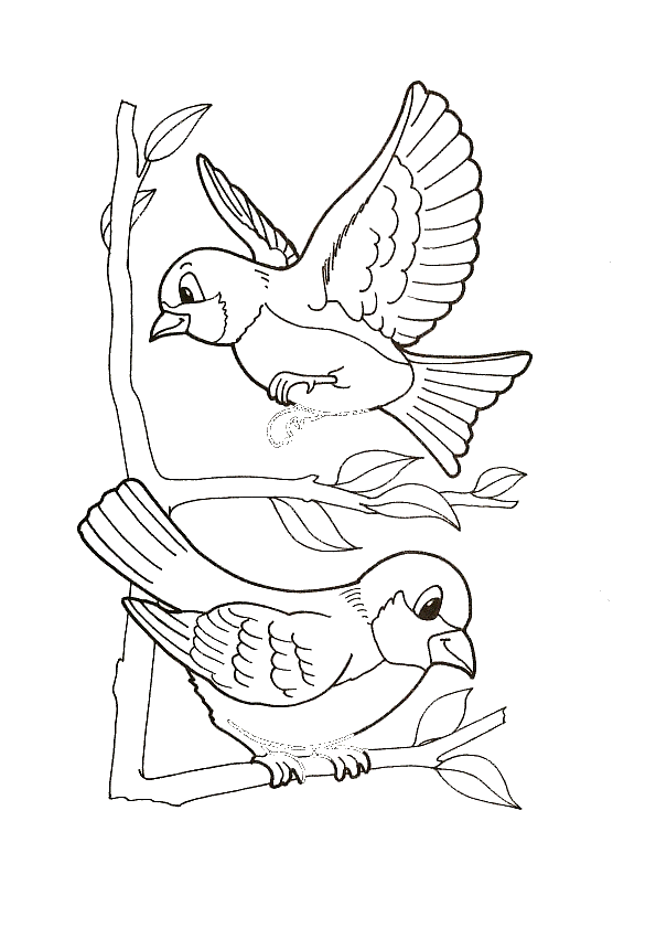 dessin oiseau canari