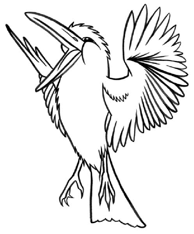 vrac coloriage oiseau