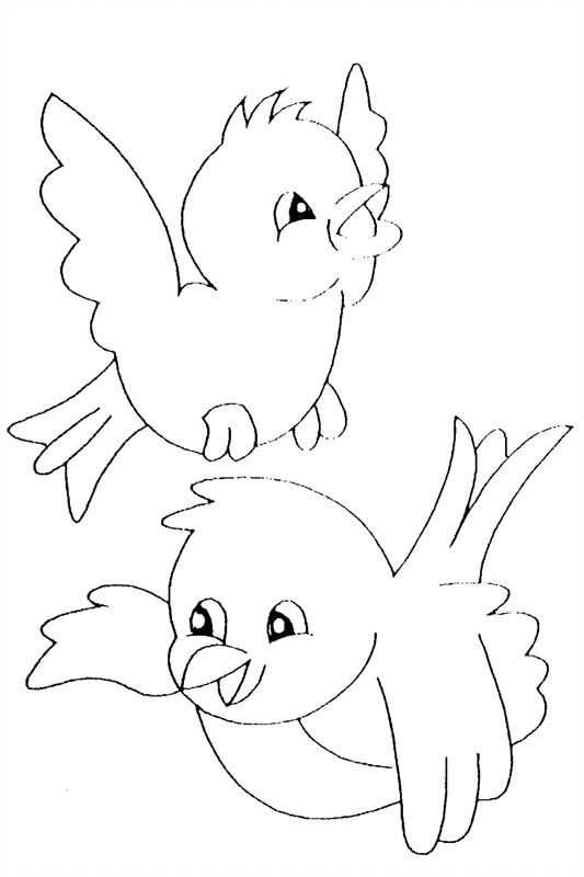 Coloriage Oiseaux De Printemps