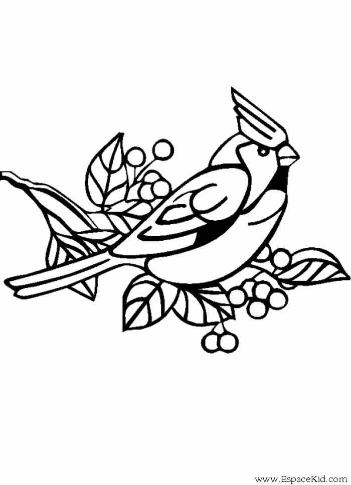 coloriage à dessiner oiseau renan