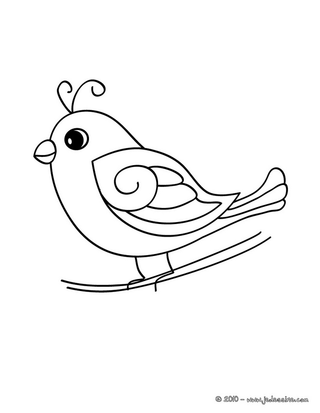 coloriage oiseau