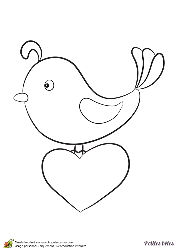 dessin oiseau mouche