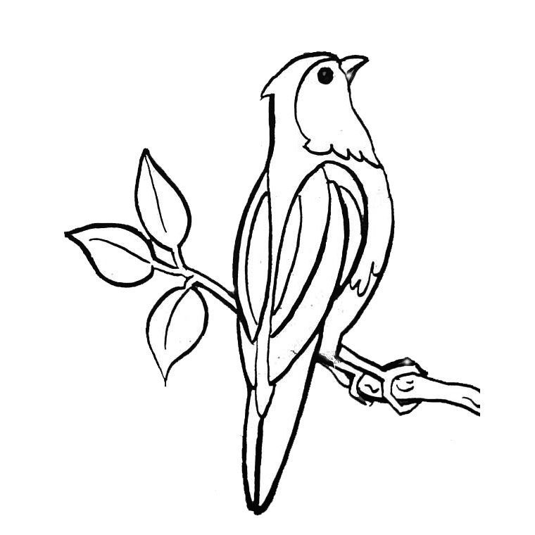 coloriage à dessiner oiseau gratuit