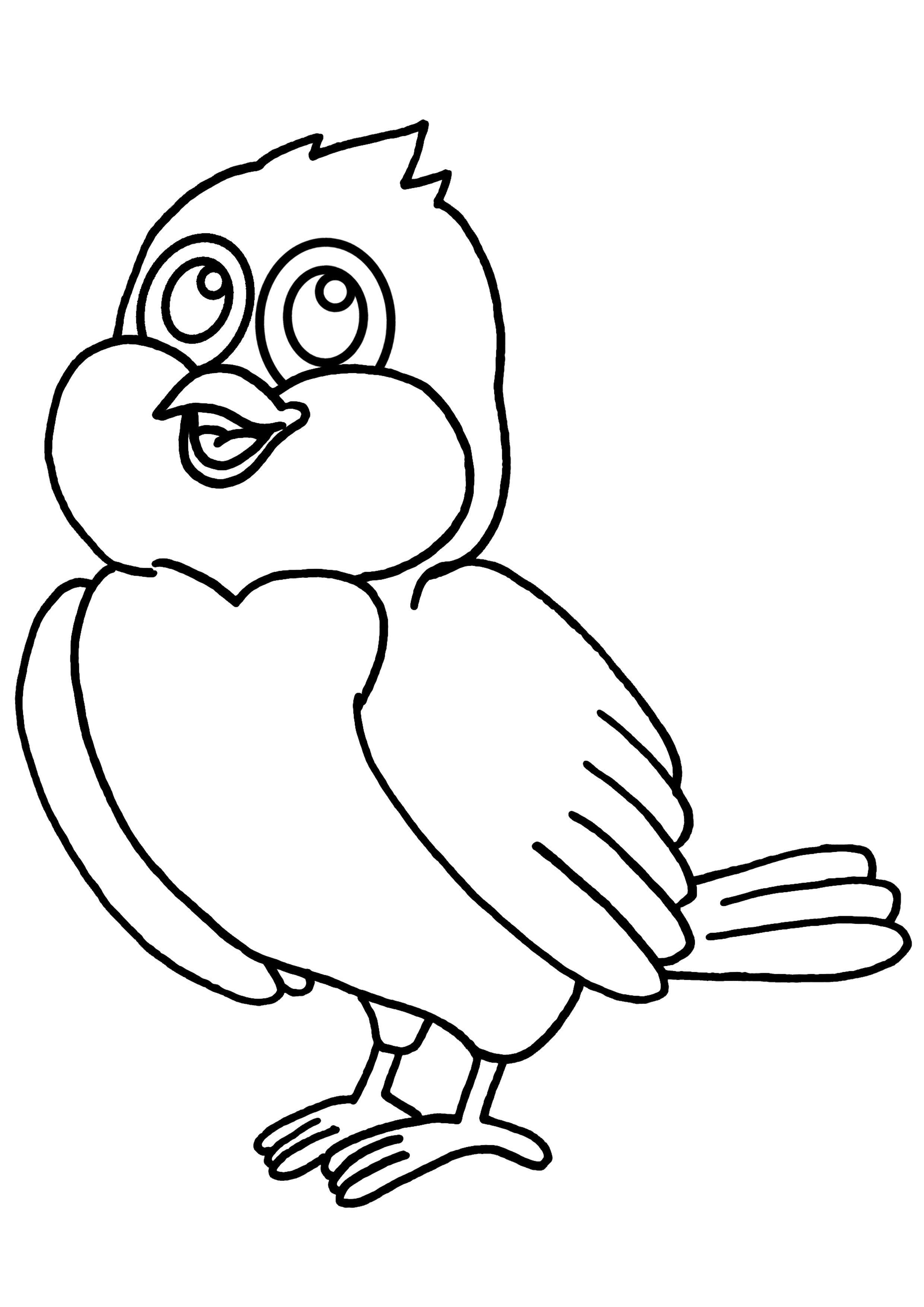 coloriage oiseaux dans nid