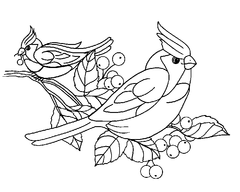 dessin oiseaux gratuit