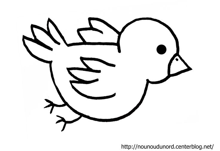 dessin oiseaux maternelle