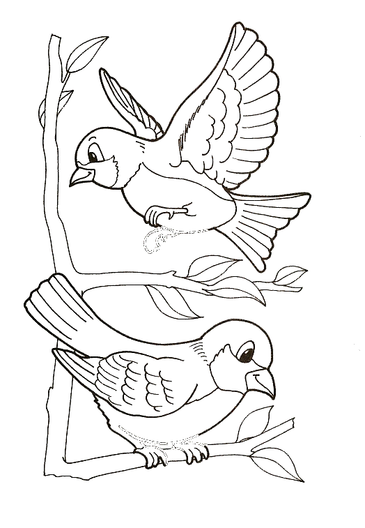 dessin à colorier à imprimer oiseau