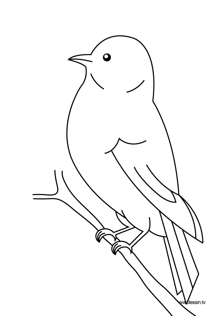 118 Dessins De Coloriage Oiseau à Imprimer