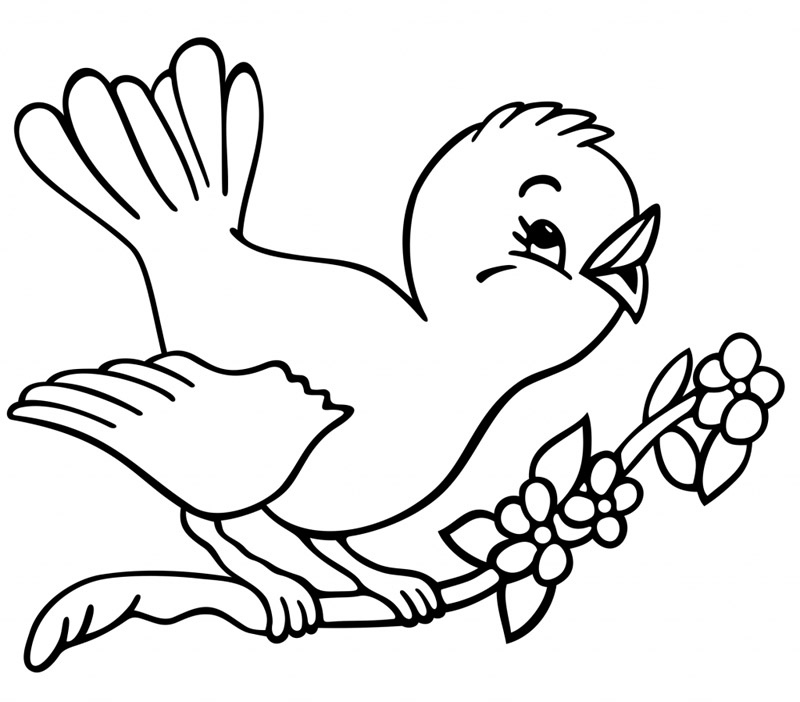 80 Nouveau Coloriage Oiseau Coloriage Pictures