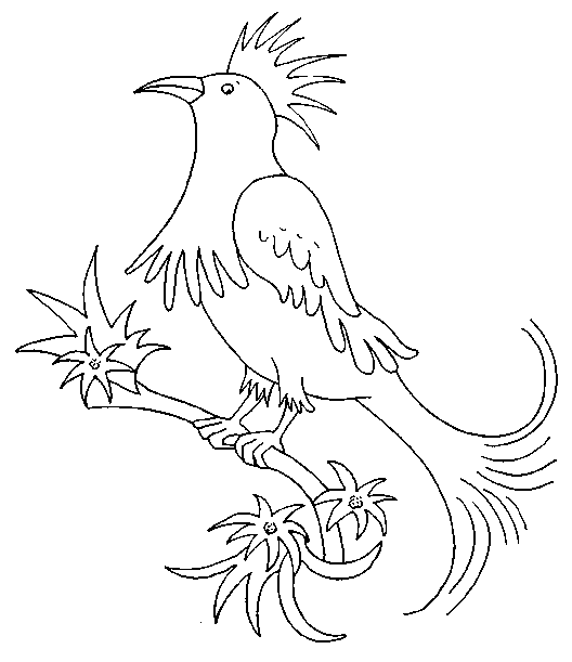 coloriage oiseaux exotiques