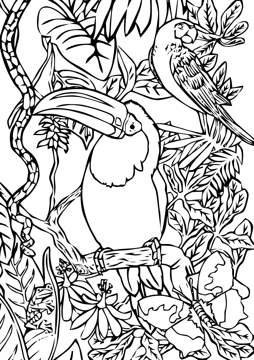 Coloriage Oiseaux à colorier - Dessin à imprimer dessin oiseau rio
