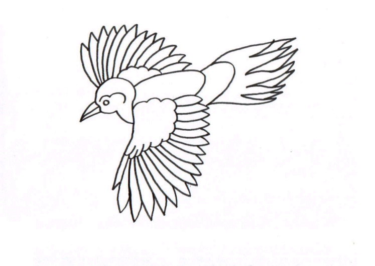 coloriage oiseau qui vole imprimer